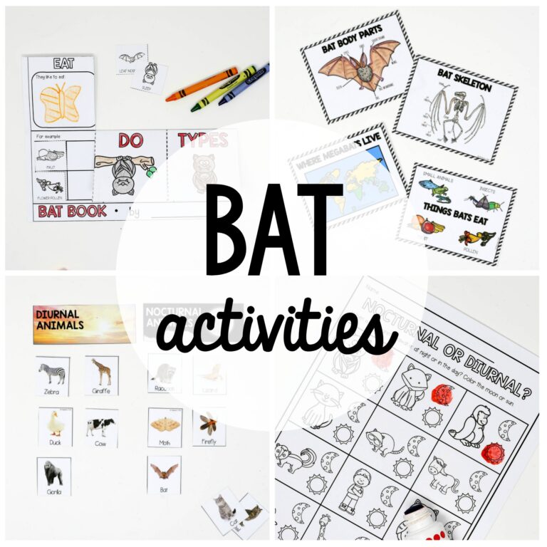 Bat Activities