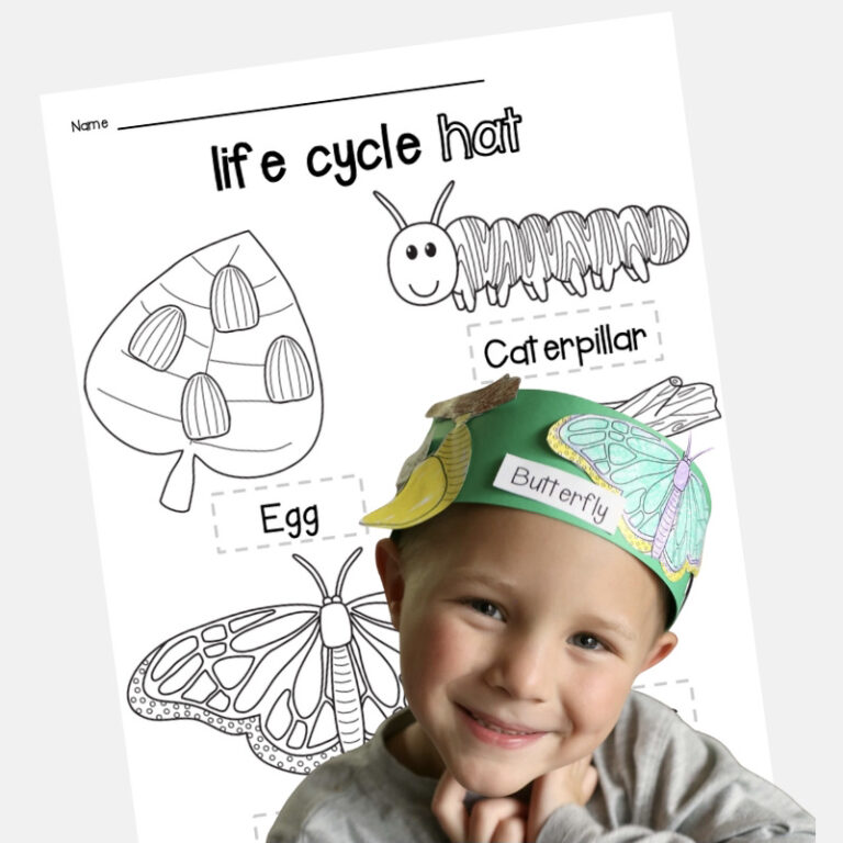 Butterfly Life Cycle Hats