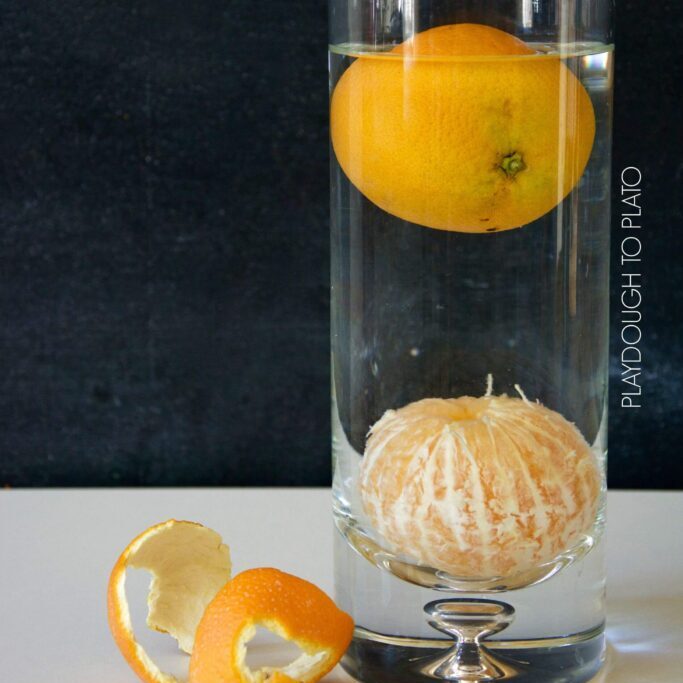 Sink & Float Oranges